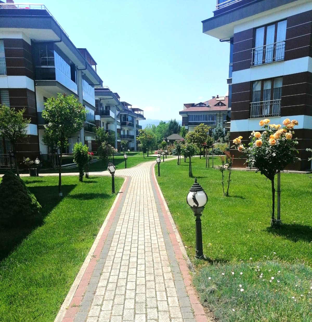 modern-peyzaj-aydinlatma-cesitleri.jpg