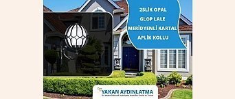 Dış Mekan Bahçe Aydınlatma