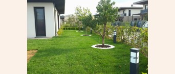 Modern Peyzaj Projeleri İçin Aydınlatma Önerileri