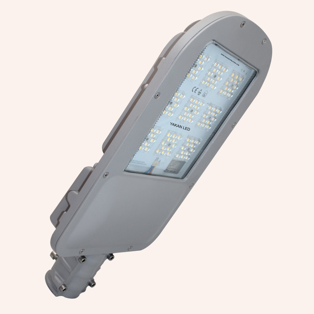 60W IP66 LED YOL AYDINLATMA LEDX 4000K